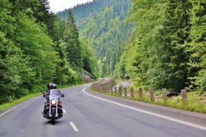 people riding a motorcycle through the forest